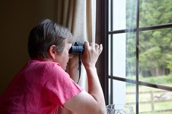 Nosey neighbour at the window with binoculars