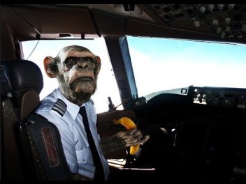 Chimp Pilot