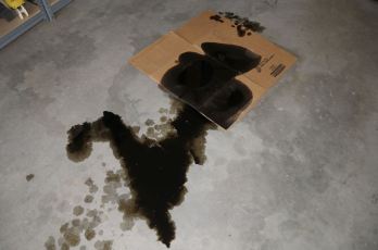Oil Leak